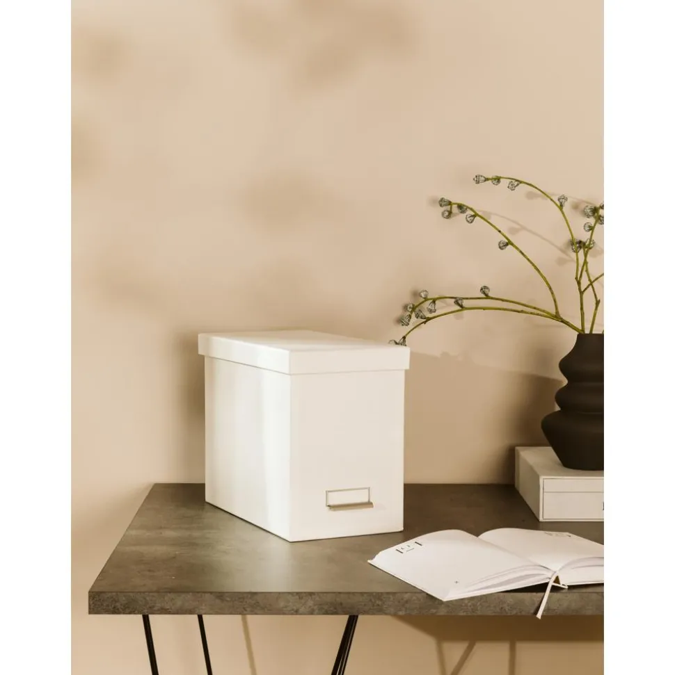 Caja Organizadora Jahan, Con 8 Separadores