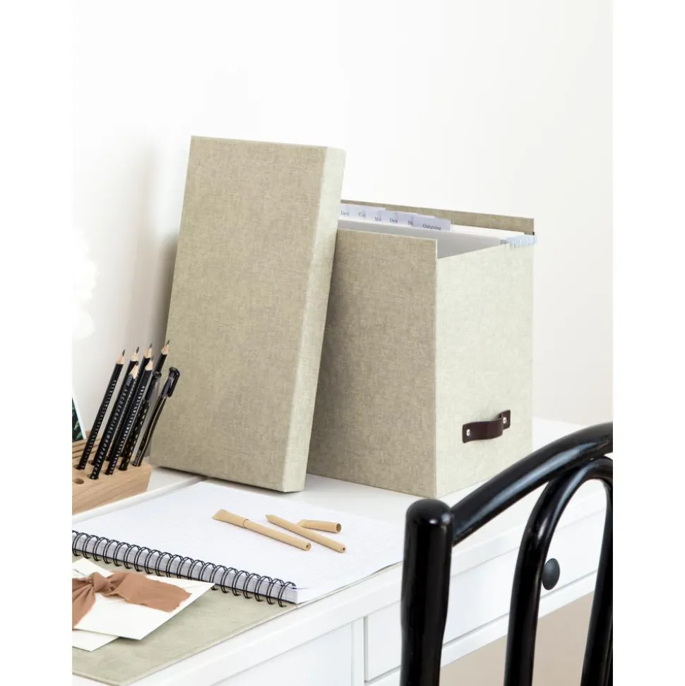 Caja Organizadora Jahan Ii, Con 8 Separadores
