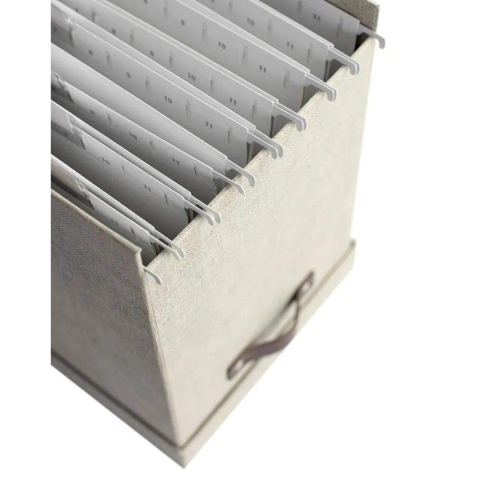 Caja Organizadora Jahan Ii, Con 8 Separadores