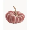 Calabaza Decorativa Pepo