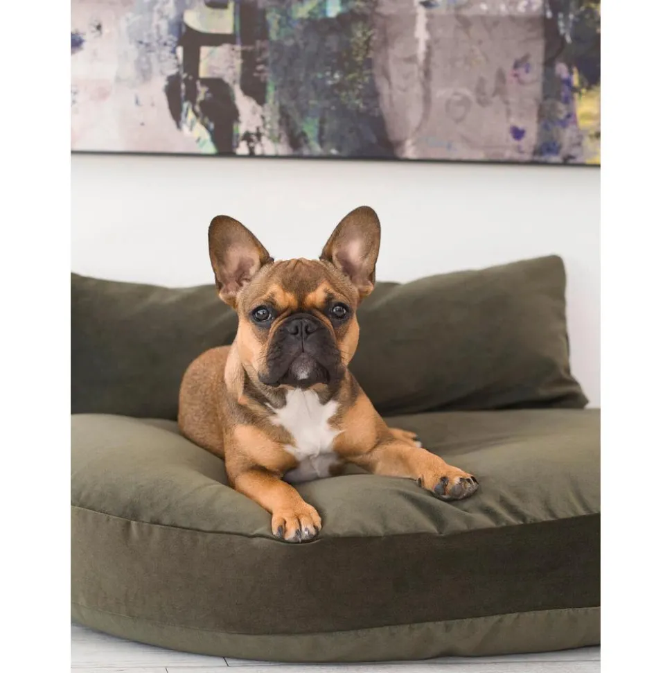 Cama Para Mascotas De Interior/Exterior Prado