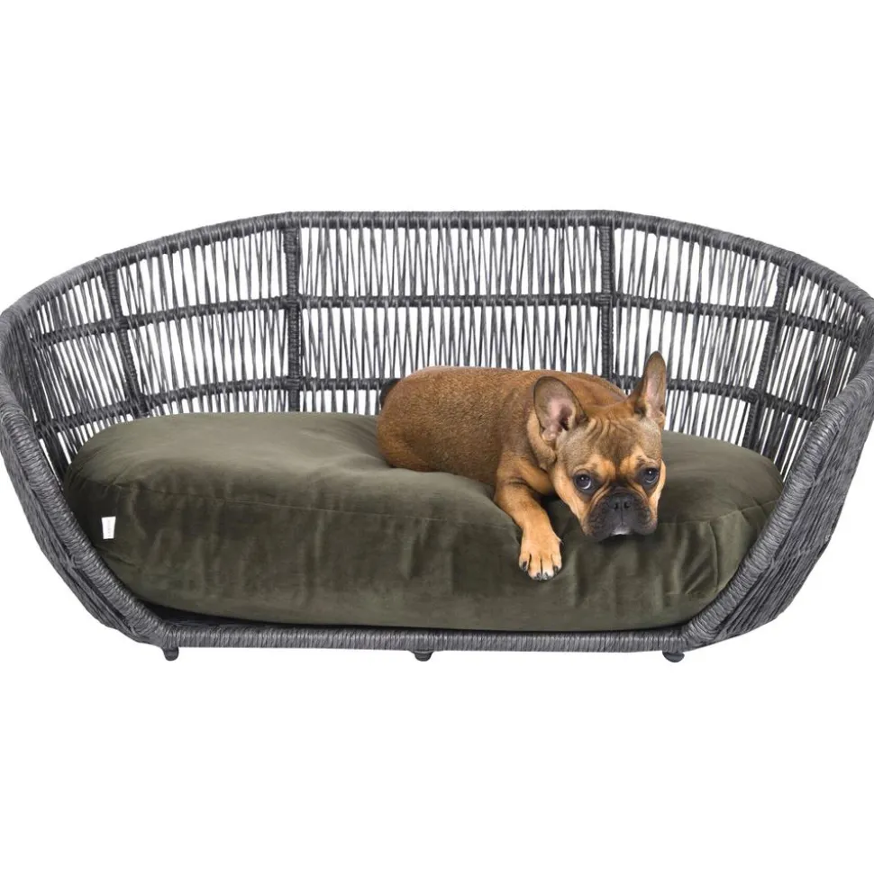 Cama Para Mascotas De Interior/Exterior Prado