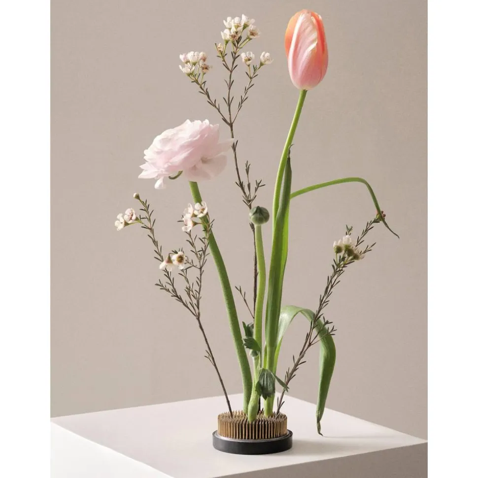 Erizo Floral Para Jarron Fiore, O 8 Cm