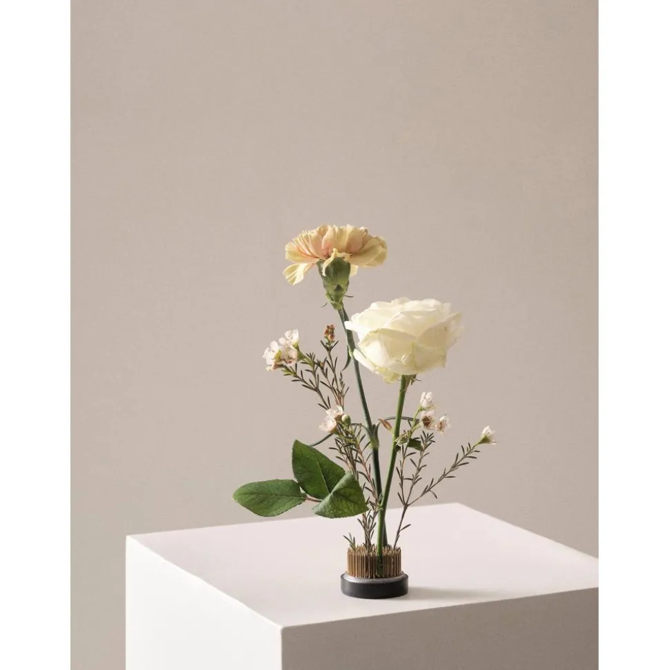 Erizo Floral Para Jarron Fiore, O 5 Cm