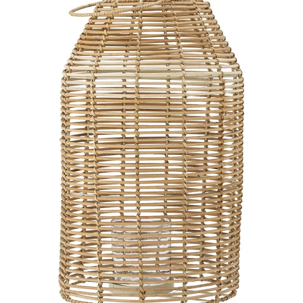 Farolillo De Ratan Ferdi