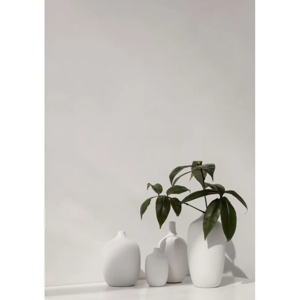 Jarron Grande Ceola